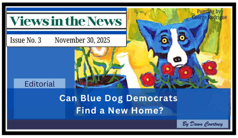 Can “Blue Dog” Democrats Find a Home?