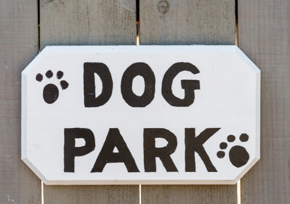 Jaymi Sowder presented her idea, along with 500 signatures, for an off-leash dog park in Woodland.